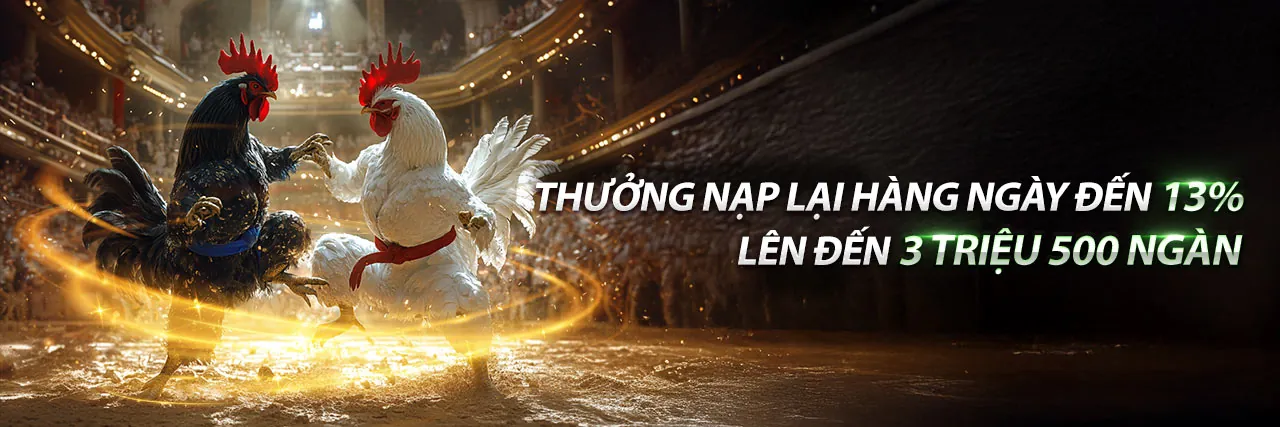 Sân đấu đá gà kịch tính tại man79 app
